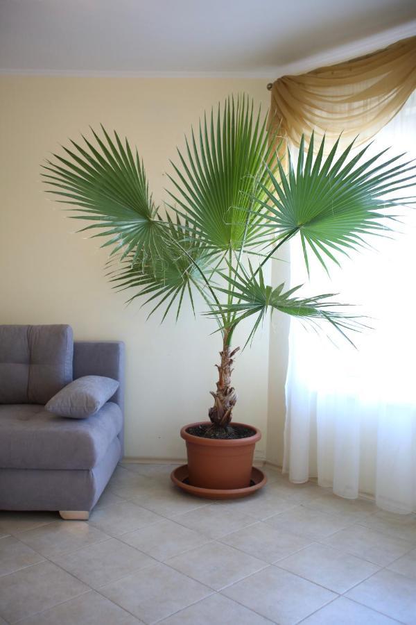 Aparthotel Livia Boutique 2*